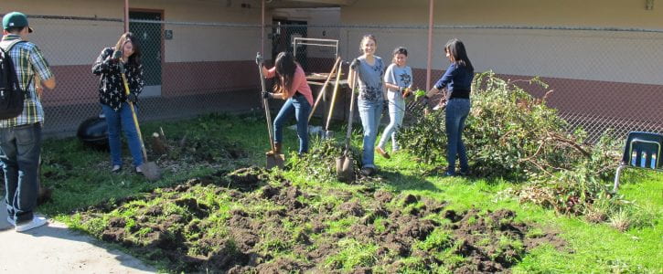 Making the School Garden